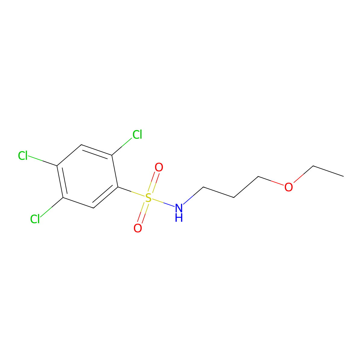 2,4,5-trichloro-N-(3-ethoxypropyl)benzene-1-sulfonamide molecular structure, CAS 1374679-88-5