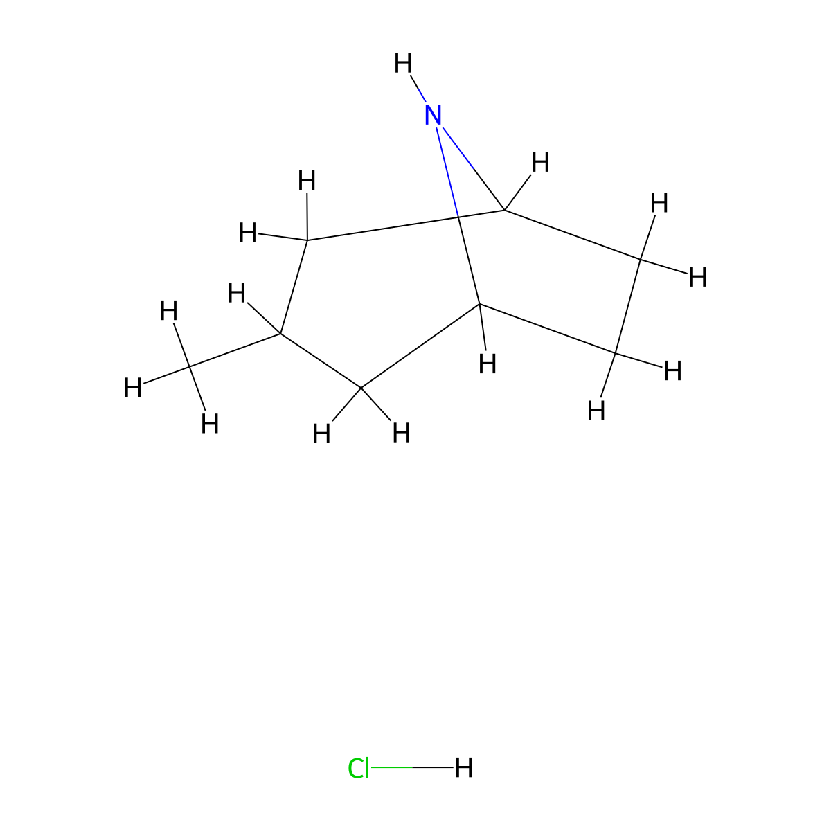 3-Methyl-8-azabicyclo[3.2.1]octane hydrochloride molecular structure, CAS 1378830-42-2