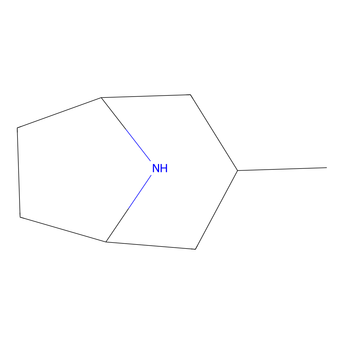 3-Methyl-8-azabicyclo(3.2.1)octane molecular structure, CAS 1379149-40-2