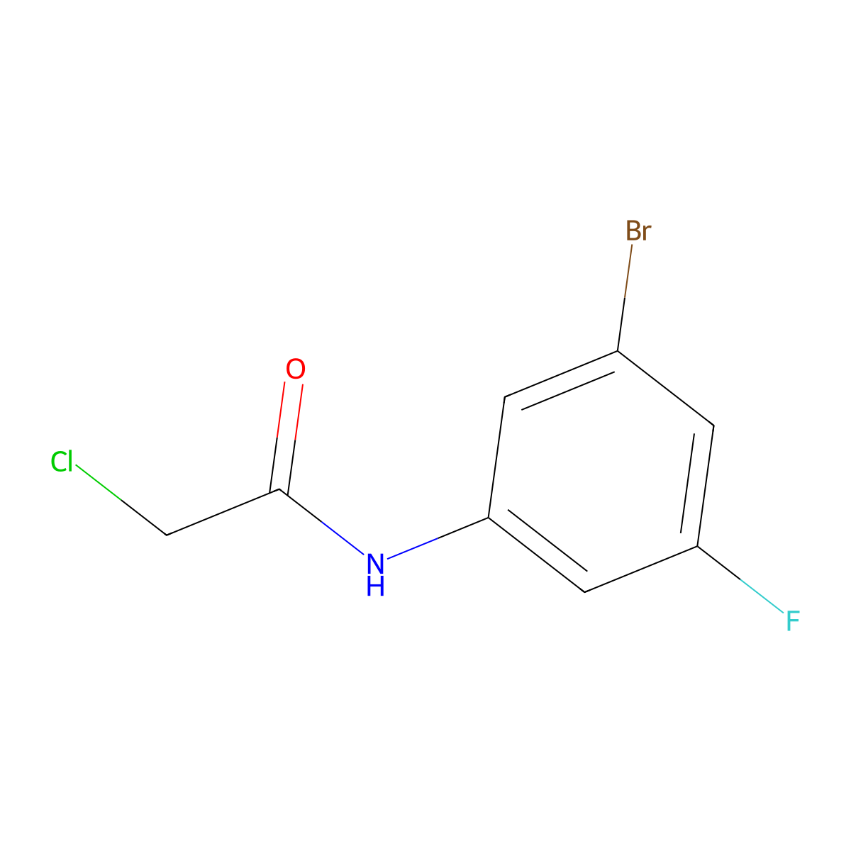 N-(3-Bromo-5-fluorophenyl)-2-chloroacetamide molecular structure, CAS 1379347-29-1