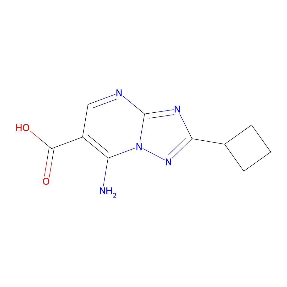 7-Amino-2-cyclobutyl[1,2,4]triazolo[1,5-a]pyrimidine-6-carboxylic acid molecular structure, CAS 1379811-46-7