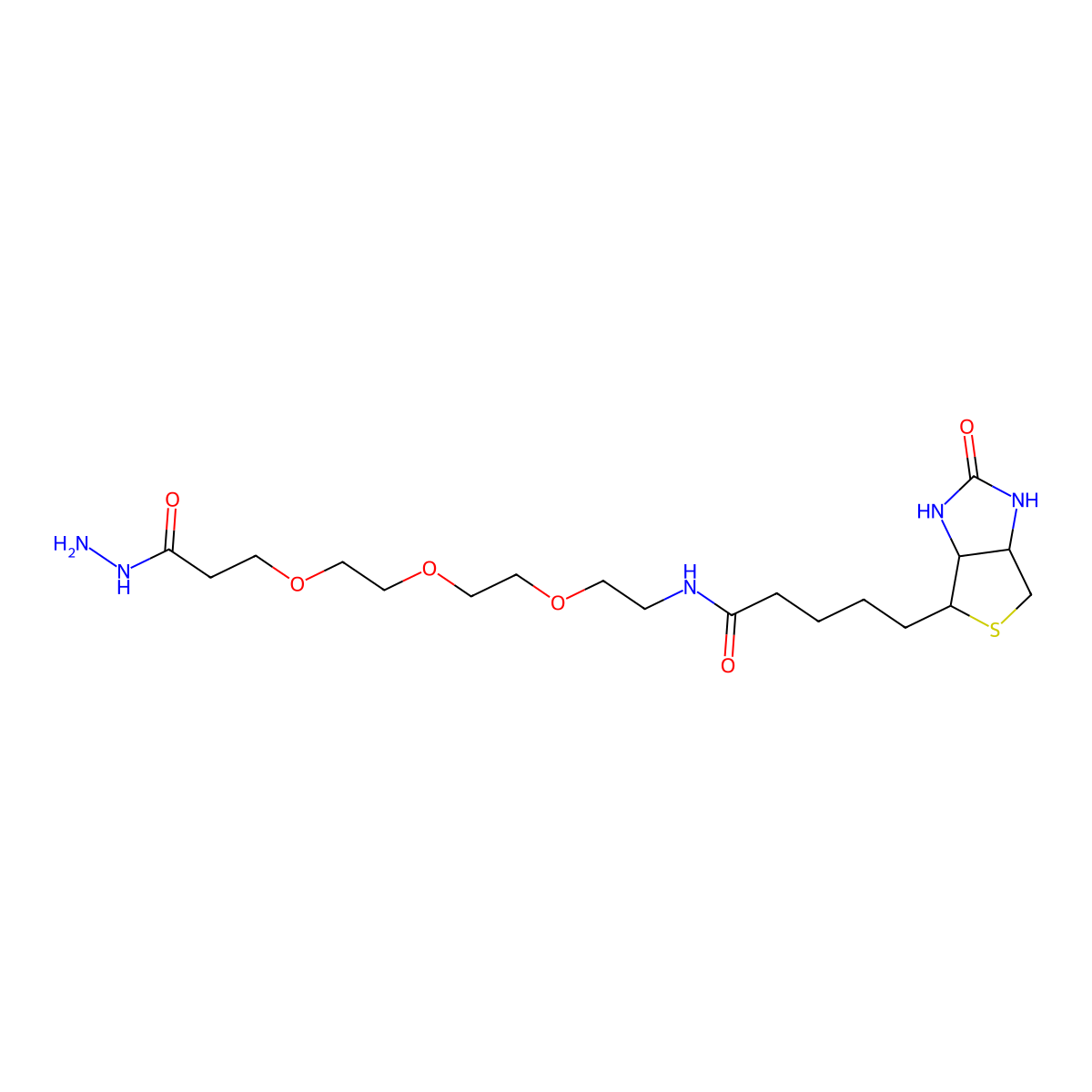 Biotin-PEG3-hydrazide molecular structure, CAS 1381861-94-4