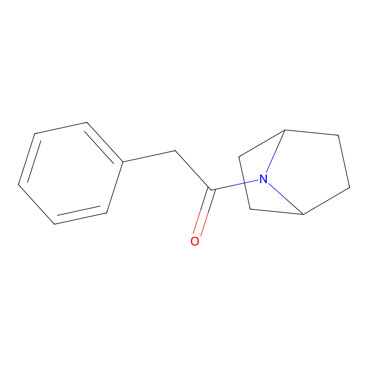 1-{7-Azabicyclo[2.2.1]heptan-7-yl}-2-phenylethan-1-one molecular structure, CAS 1381886-72-1