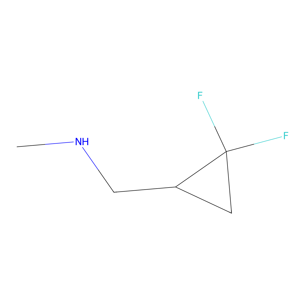 N-[(2,2-Difluorocyclopropyl)methyl]-N-methylamine molecular structure, CAS 1393532-74-5