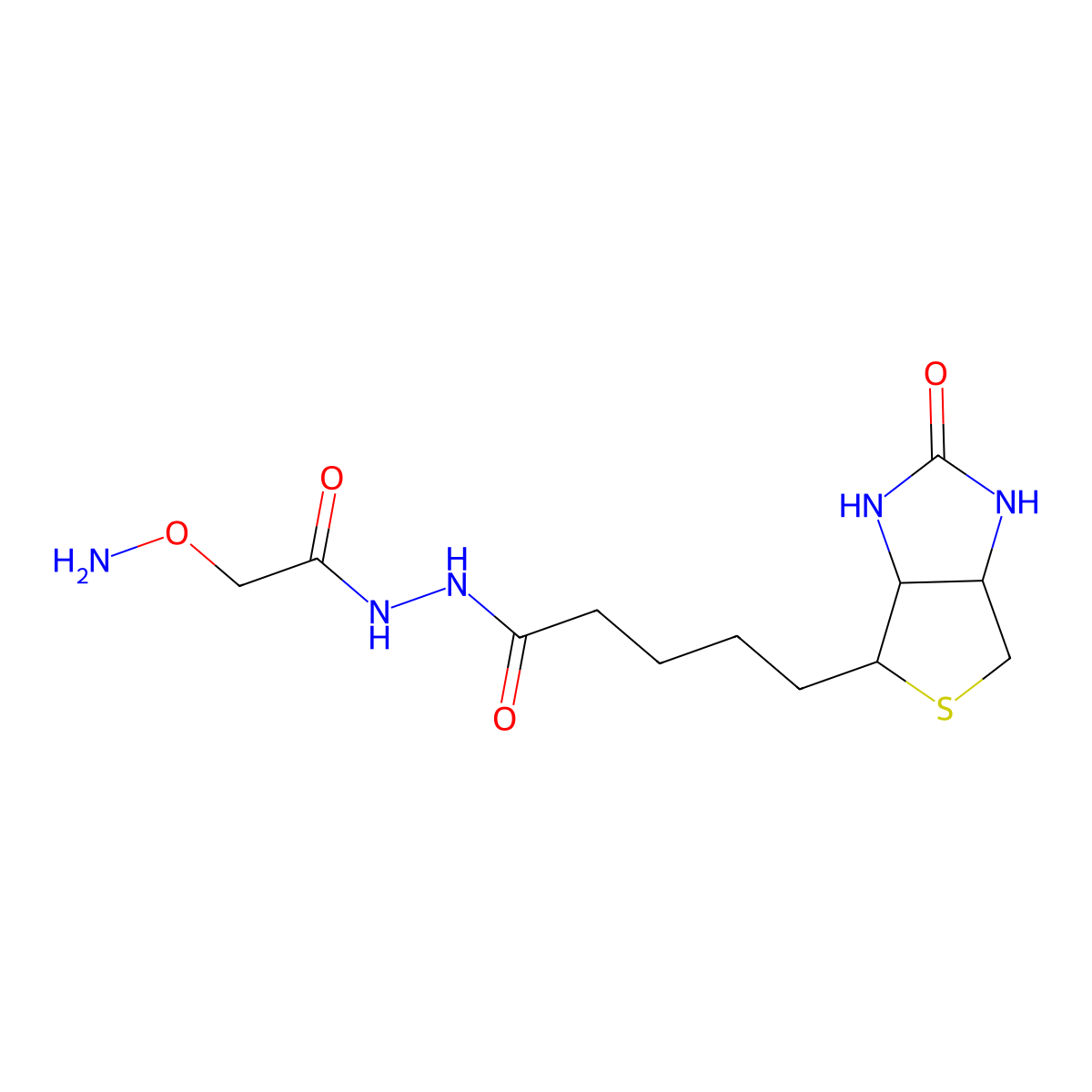 O-(Biotinylcarbazoylmethyl)hydroxylamine molecular structure, CAS 139585-03-8
