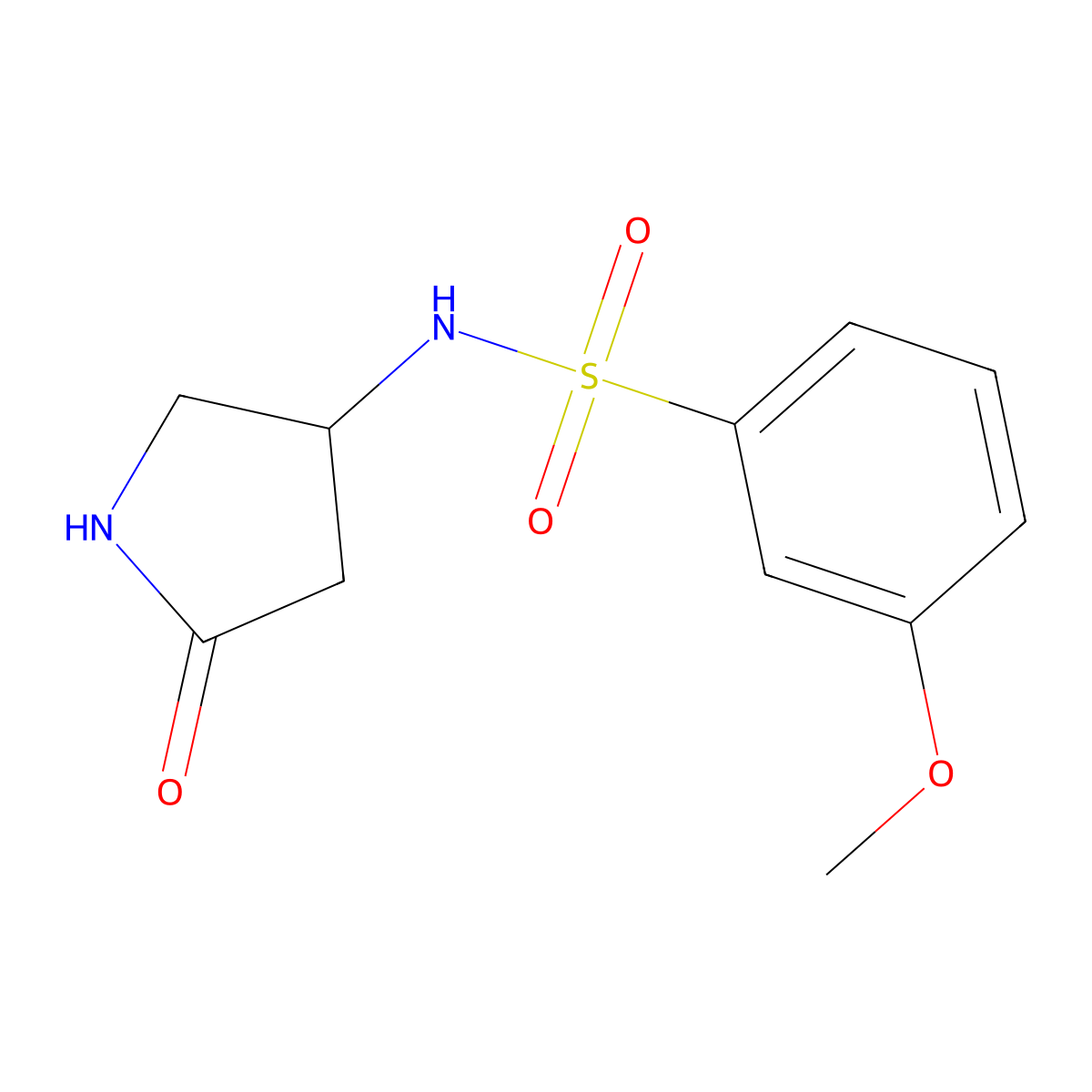 3-methoxy-N-(5-oxopyrrolidin-3-yl)benzenesulfonamide molecular structure, CAS 1396684-01-7