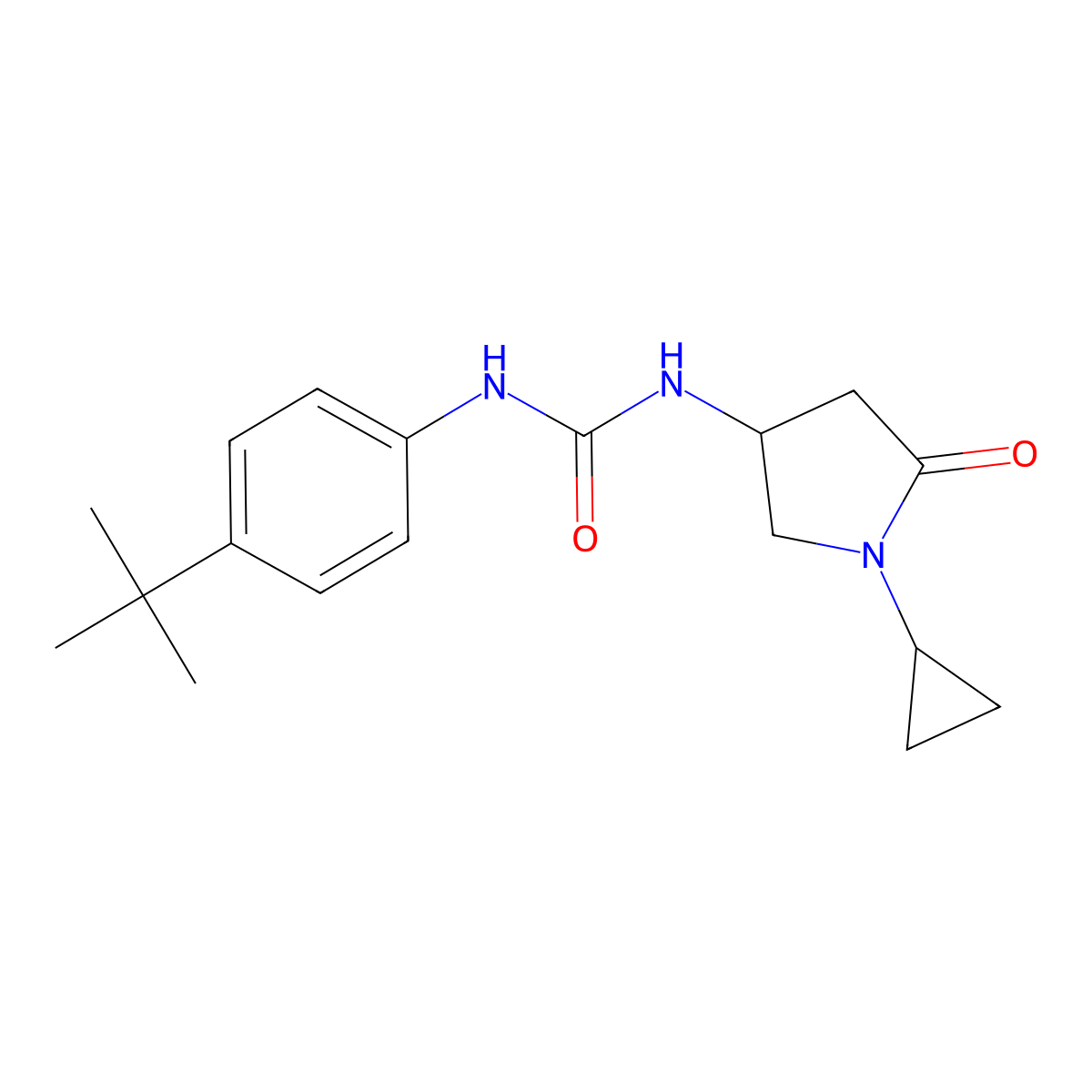 1-(4-Tert-butylphenyl)-3-(1-cyclopropyl-5-oxopyrrolidin-3-yl)urea molecular structure, CAS 1396716-38-3