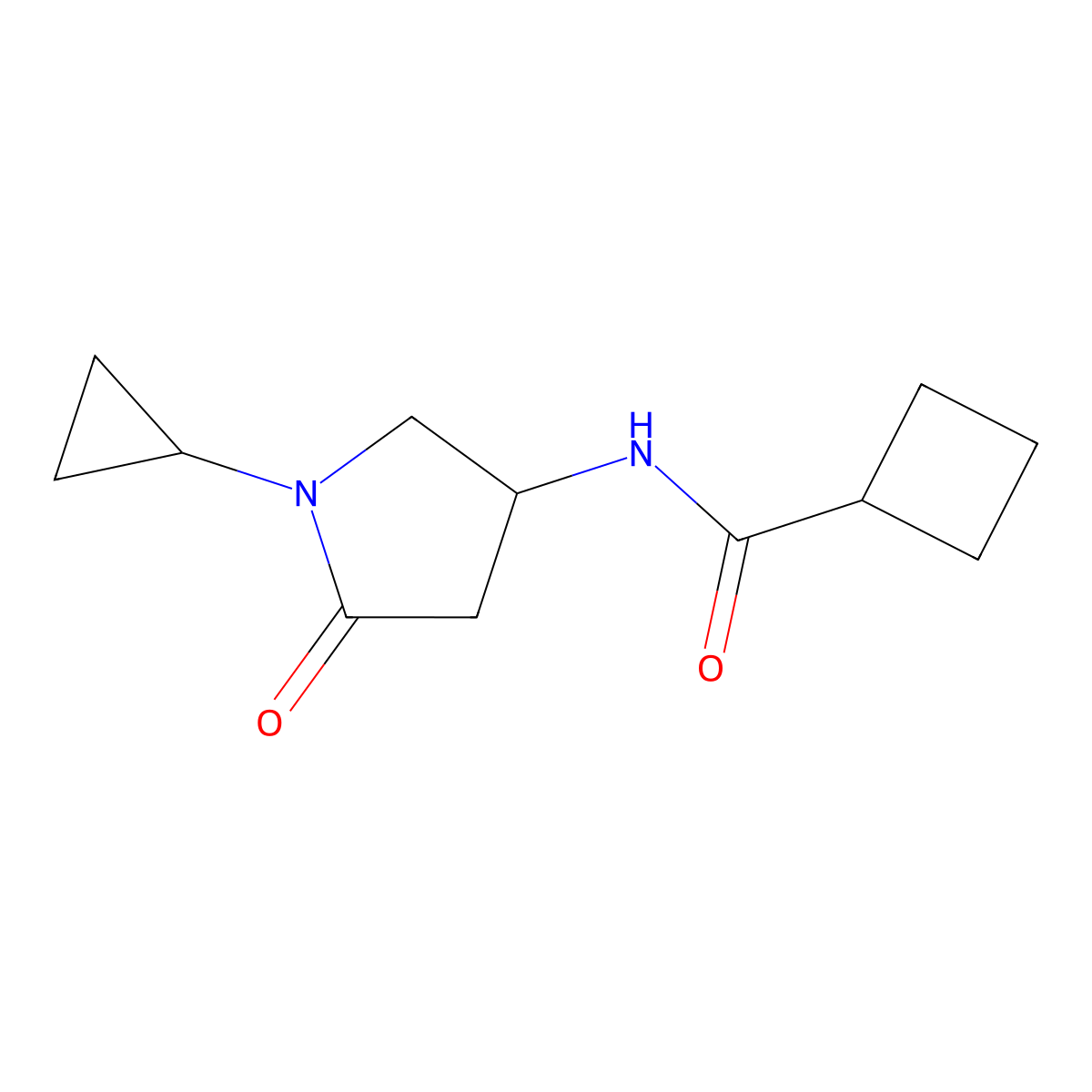 N-(1-cyclopropyl-5-oxopyrrolidin-3-yl)cyclobutanecarboxamide molecular structure, CAS 1396785-07-1