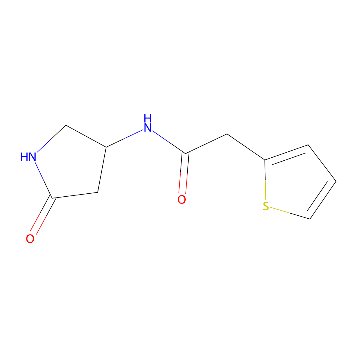 N-(5-oxopyrrolidin-3-yl)-2-(thiophen-2-yl)acetamide molecular structure, CAS 1396794-16-3