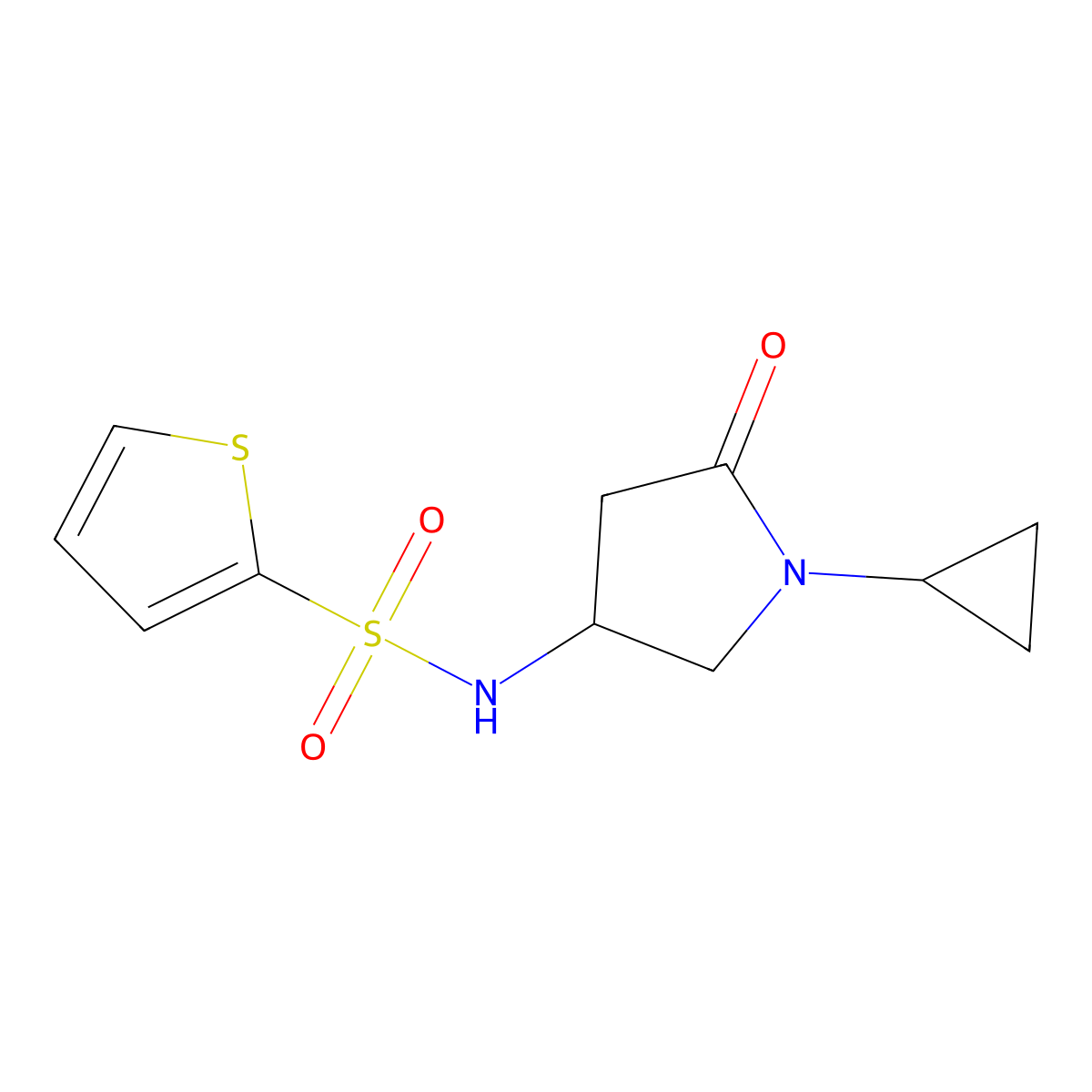 N-(1-cyclopropyl-5-oxopyrrolidin-3-yl)thiophene-2-sulfonamide molecular structure, CAS 1396844-13-5