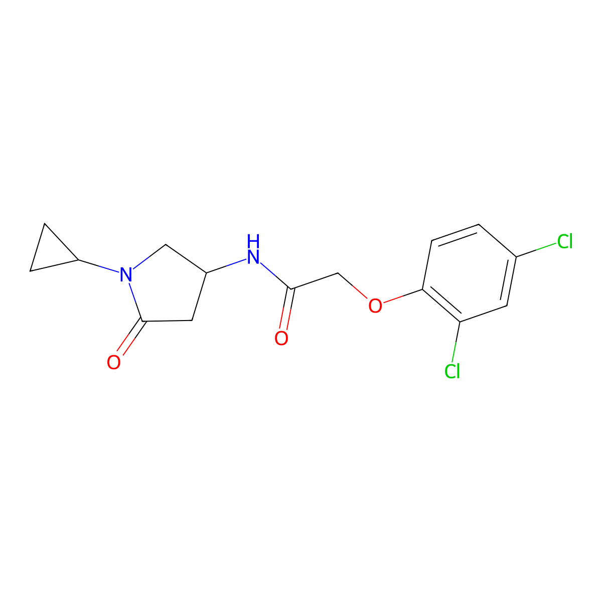 N-(1-cyclopropyl-5-oxopyrrolidin-3-yl)-2-(2,4-dichlorophenoxy)acetamide molecular structure, CAS 1396859-11-2