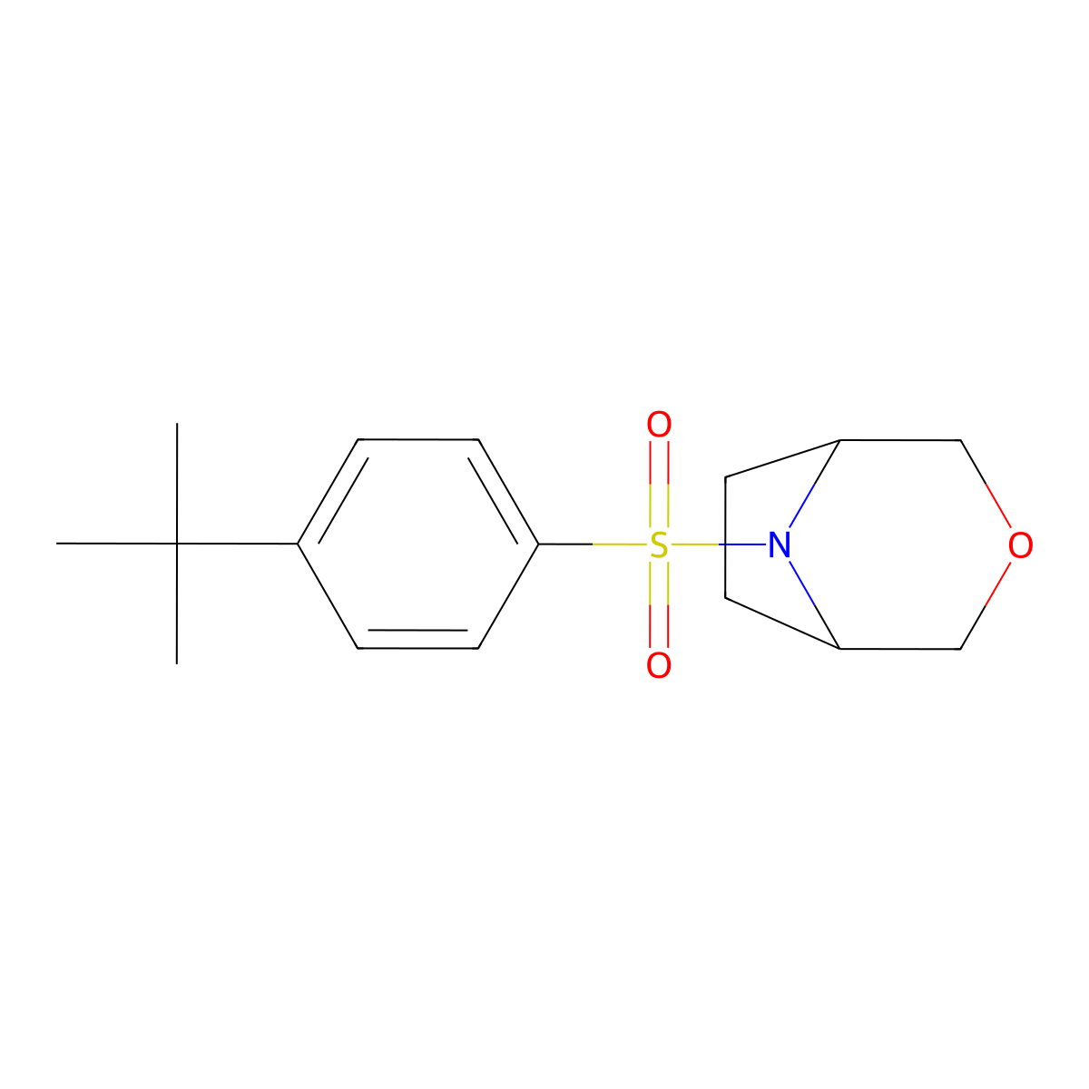 (1R,5S)-8-((4-(tert-butyl)phenyl)sulfonyl)-3-oxa-8-azabicyclo[3.2.1]octane molecular structure, CAS 1396872-81-3