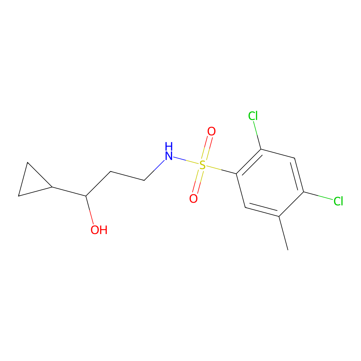 2,4-dichloro-N-(3-cyclopropyl-3-hydroxypropyl)-5-methylbenzenesulfonamide molecular structure, CAS 1396885-33-8