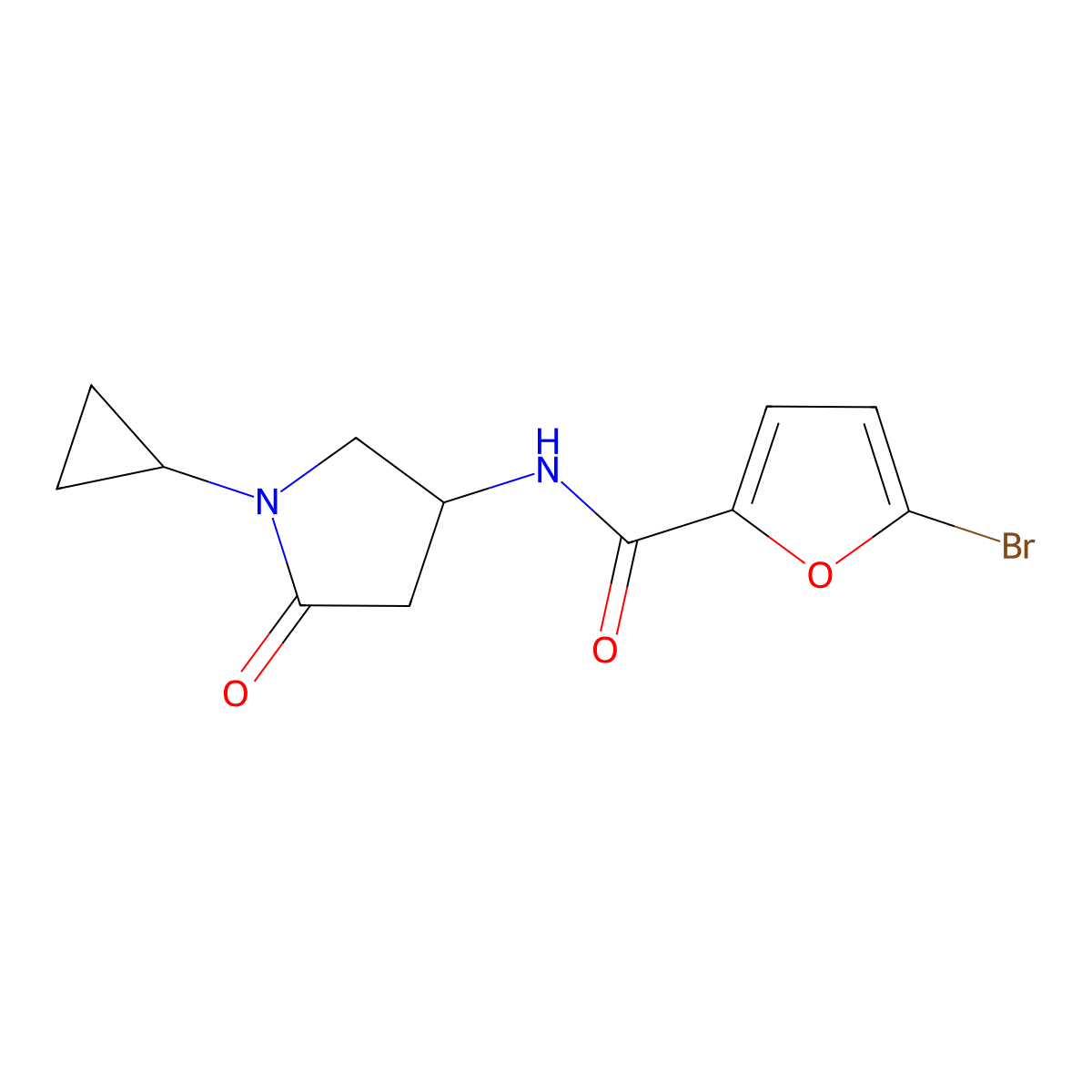 5-bromo-N-(1-cyclopropyl-5-oxopyrrolidin-3-yl)furan-2-carboxamide molecular structure, CAS 1396888-34-8