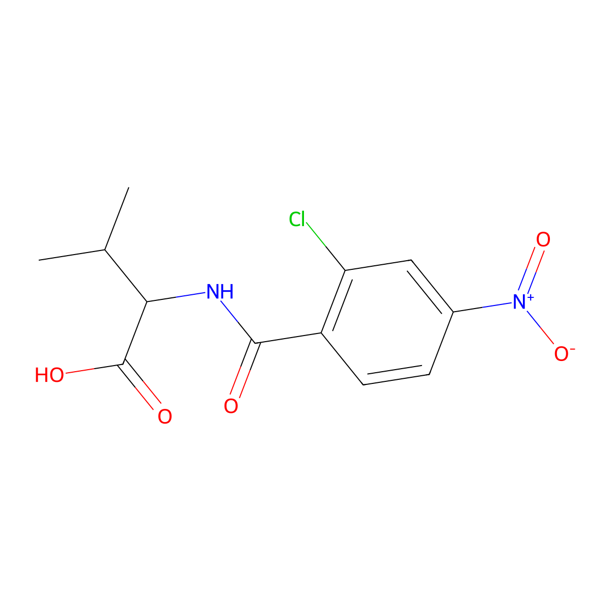 2-[(2-Chloro-4-nitrophenyl)formamido]-3-methylbutanoic acid molecular structure, CAS 1397003-81-4