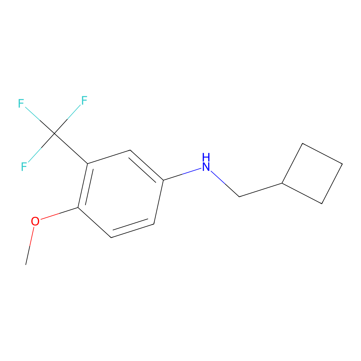 N-(cyclobutylmethyl)-4-methoxy-3-(trifluoromethyl)aniline molecular structure, CAS 1397198-54-7