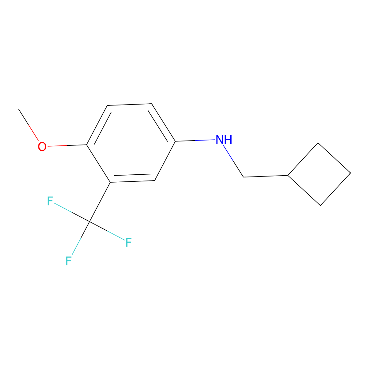 N-(cyclobutylmethyl)-4-methoxy-3-(trifluoromethyl)aniline molecular structure, CAS 1397198-54-7