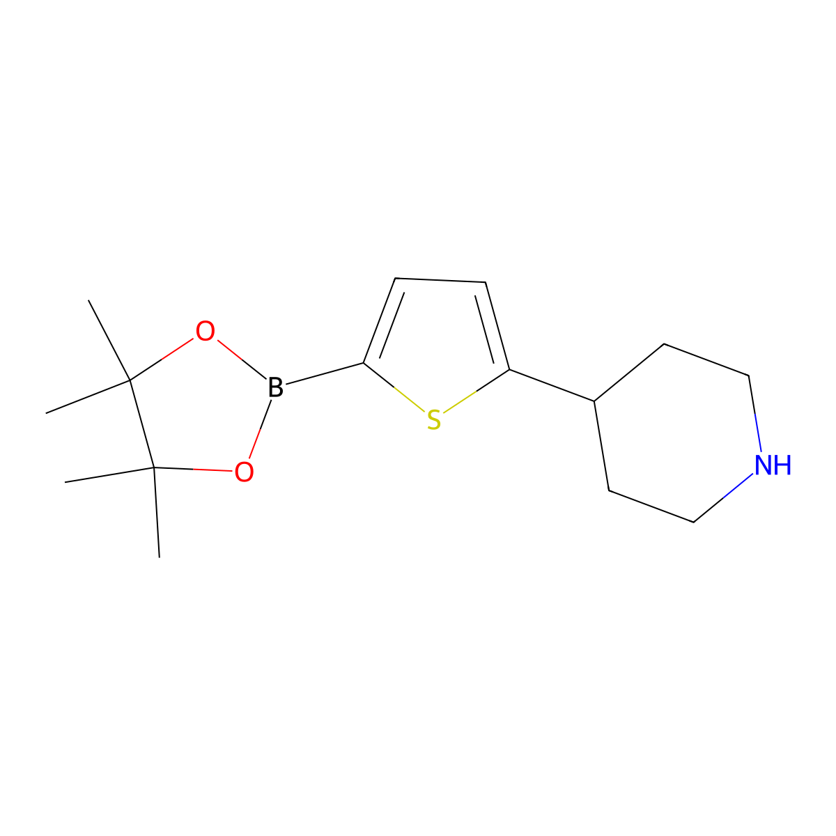 4-(5-(4,4,5,5-Tetramethyl-1,3,2-dioxaborolan-2-yl)thiophen-2-yl)piperidine molecular structure, CAS 1402166-62-4