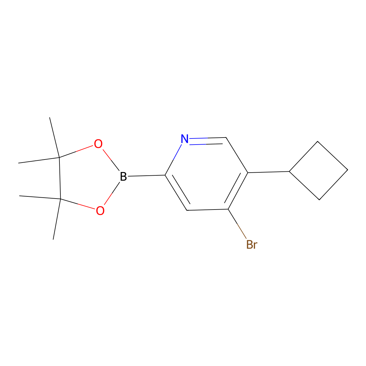 4-Bromo-5-(cyclobutyl)pyridine-2-boronic acid pinacol ester molecular structure, CAS 1402233-40-2