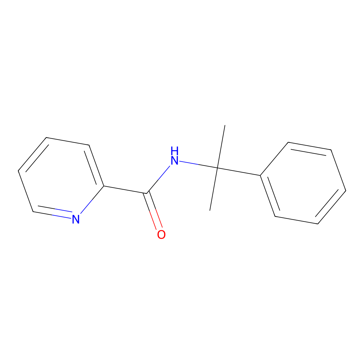 N-(1-Methyl-1-phenylethyl)picolinamide molecular structure, CAS 1404616-63-2