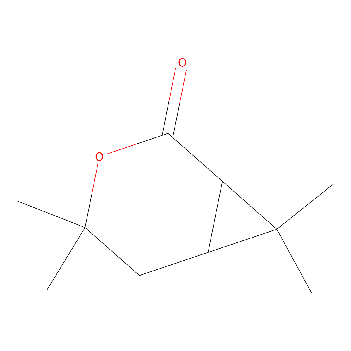 (1S)-Chrysanthemolactone molecular structure, CAS 14087-71-9