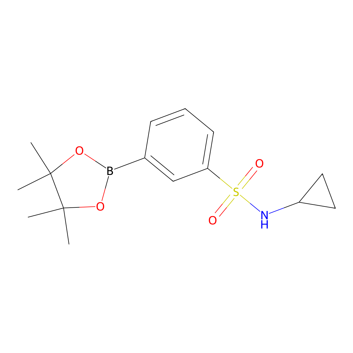 N-Cyclopropyl-3-(4,4,5,5-tetramethyl-1,3,2-dioxaborolan-2-yl)benzenesulfonamide molecular structure, CAS 1416367-02-6