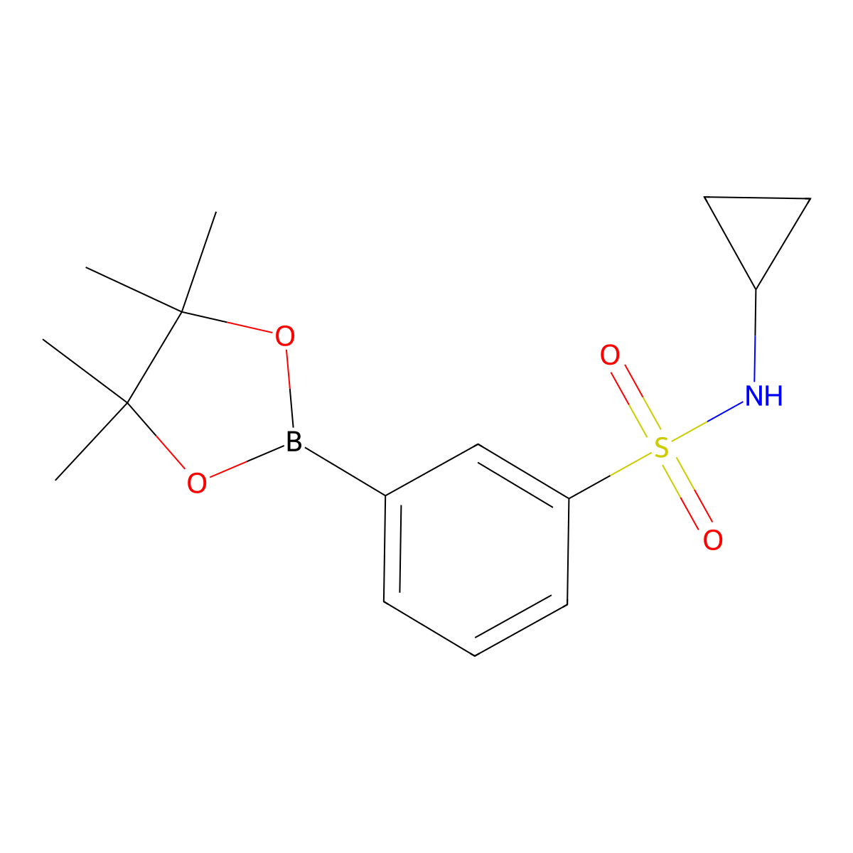 N-Cyclopropyl-3-(4,4,5,5-tetramethyl-1,3,2-dioxaborolan-2-yl)benzenesulfonamide molecular structure, CAS 1416367-02-6