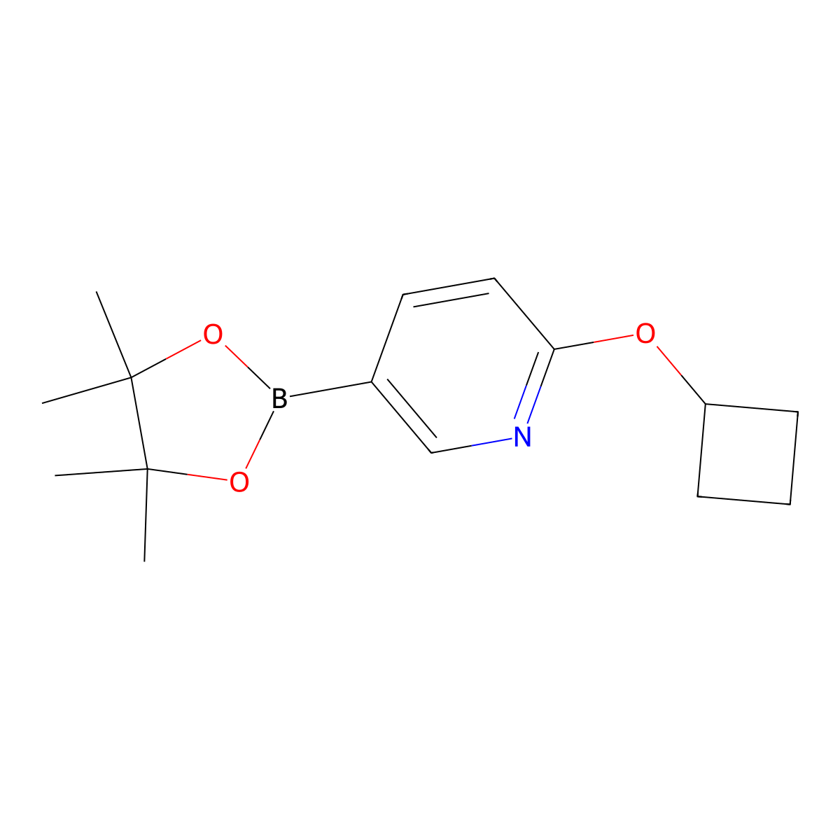 2-Cyclobutoxy-5-(4,4,5,5-tetramethyl-1,3,2-dioxaborolan-2-yl)pyridine molecular structure, CAS 1417625-27-4