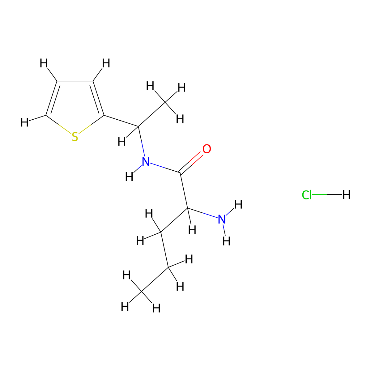 2-amino-N-[1-(thiophen-2-yl)ethyl]pentanamide hydrochloride molecular structure, CAS 1423024-10-5