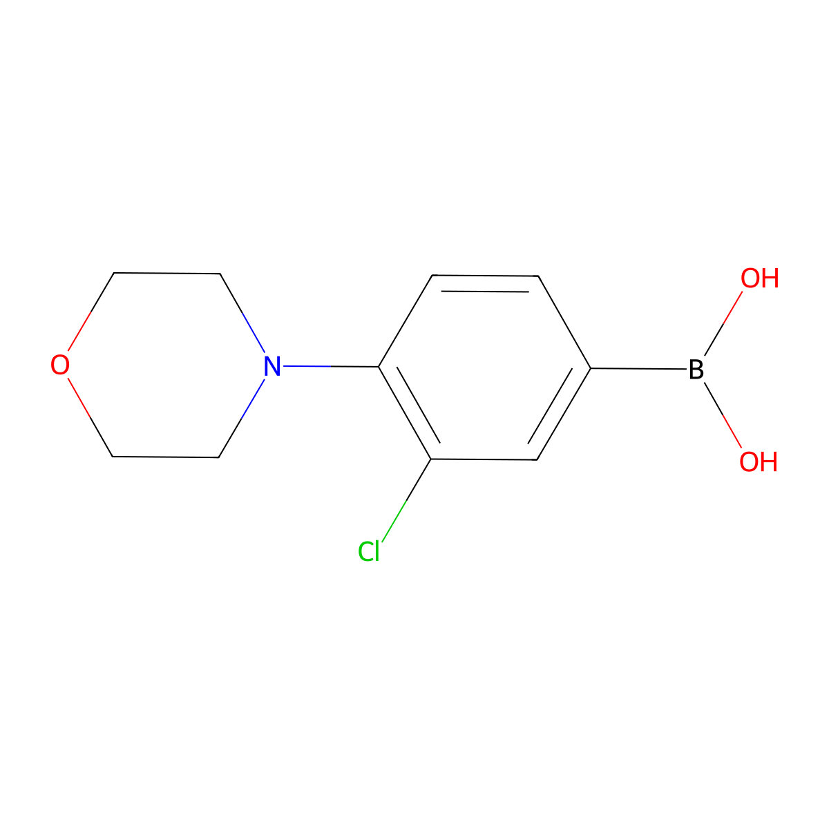 3-Chloro-4-morpholinophenylboronic acid molecular structure, CAS 1426246-59-4