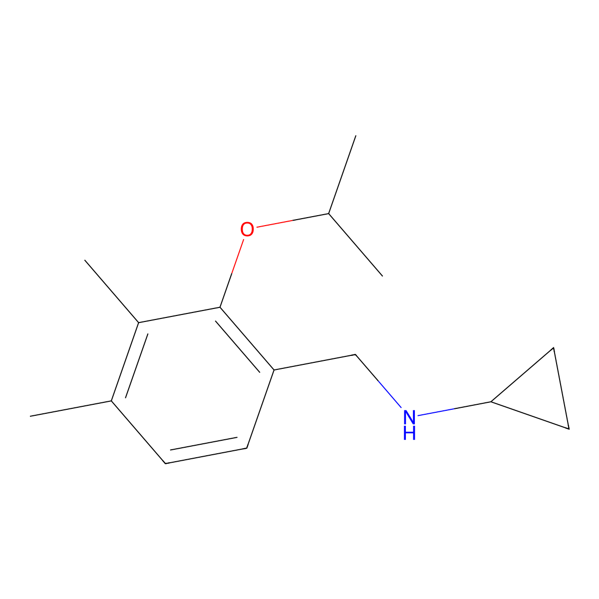 Cyclopropyl-(2-isopropoxy-3,4-dimethyl-benzyl)-amine molecular structure, CAS 1427022-73-8