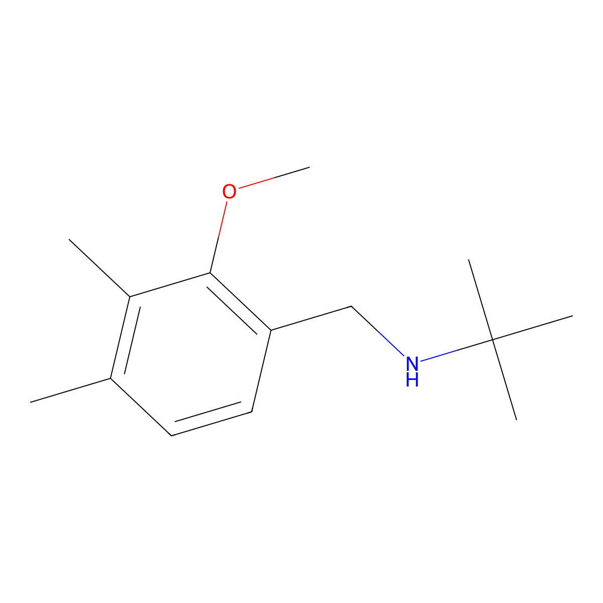 N-(2-Methoxy-3,4-dimethylbenzyl)-2-methylpropan-2-amine molecular structure, CAS 1427026-93-4