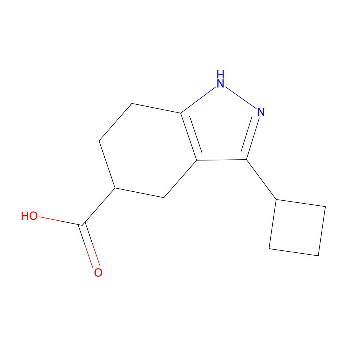 3-Cyclobutyl-4,5,6,7-tetrahydro-1H-indazole-5-carboxylic acid molecular structure, CAS 1427502-16-6