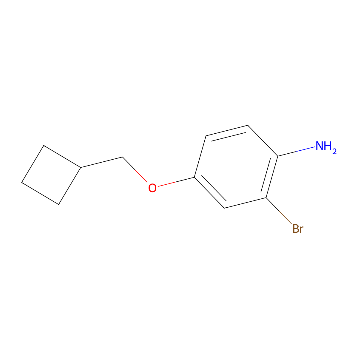 2-Bromo-4-(cyclobutylmethoxy)benzenamine molecular structure, CAS 1429901-98-3