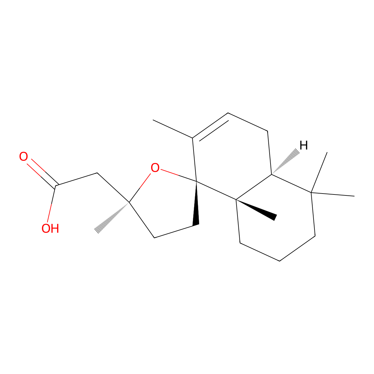 Grindelic Acid molecular structure, CAS 1438-57-9