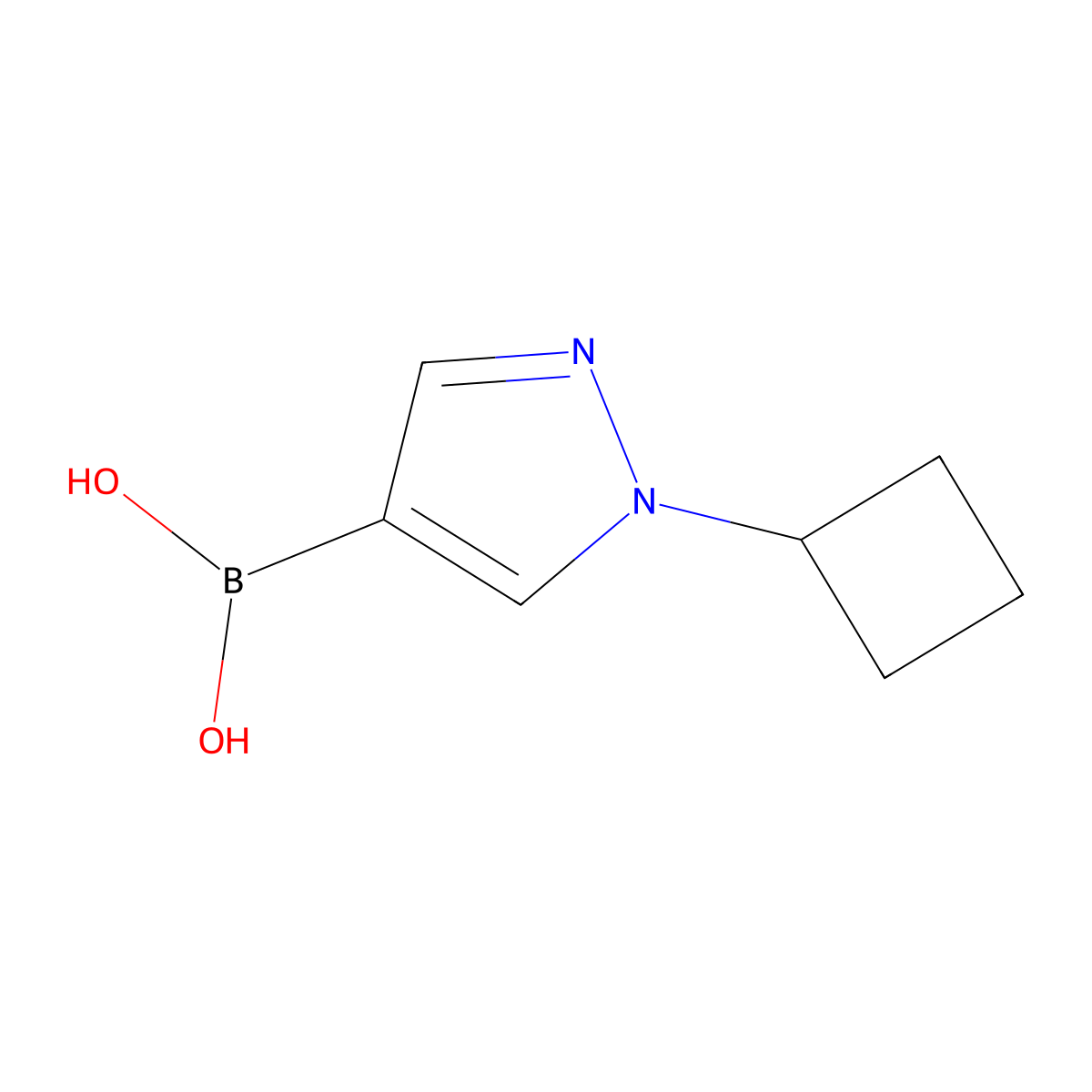 (1-Cyclobutylpyrazol-4-yl)boronic acid molecular structure, CAS 1443112-54-6