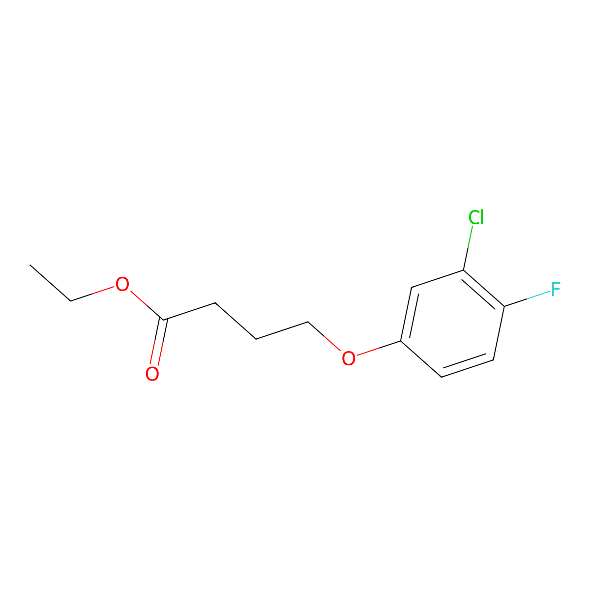 Ethyl 4-(3-chloro-4-fluoro-phenoxy)butanoate molecular structure, CAS 1443330-55-9