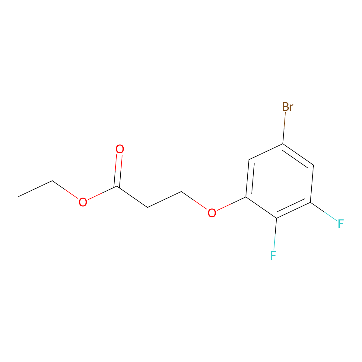 Ethyl 3-(3-bromo-5,6-difluoro-phenoxy)propanoate molecular structure, CAS 1443330-73-1