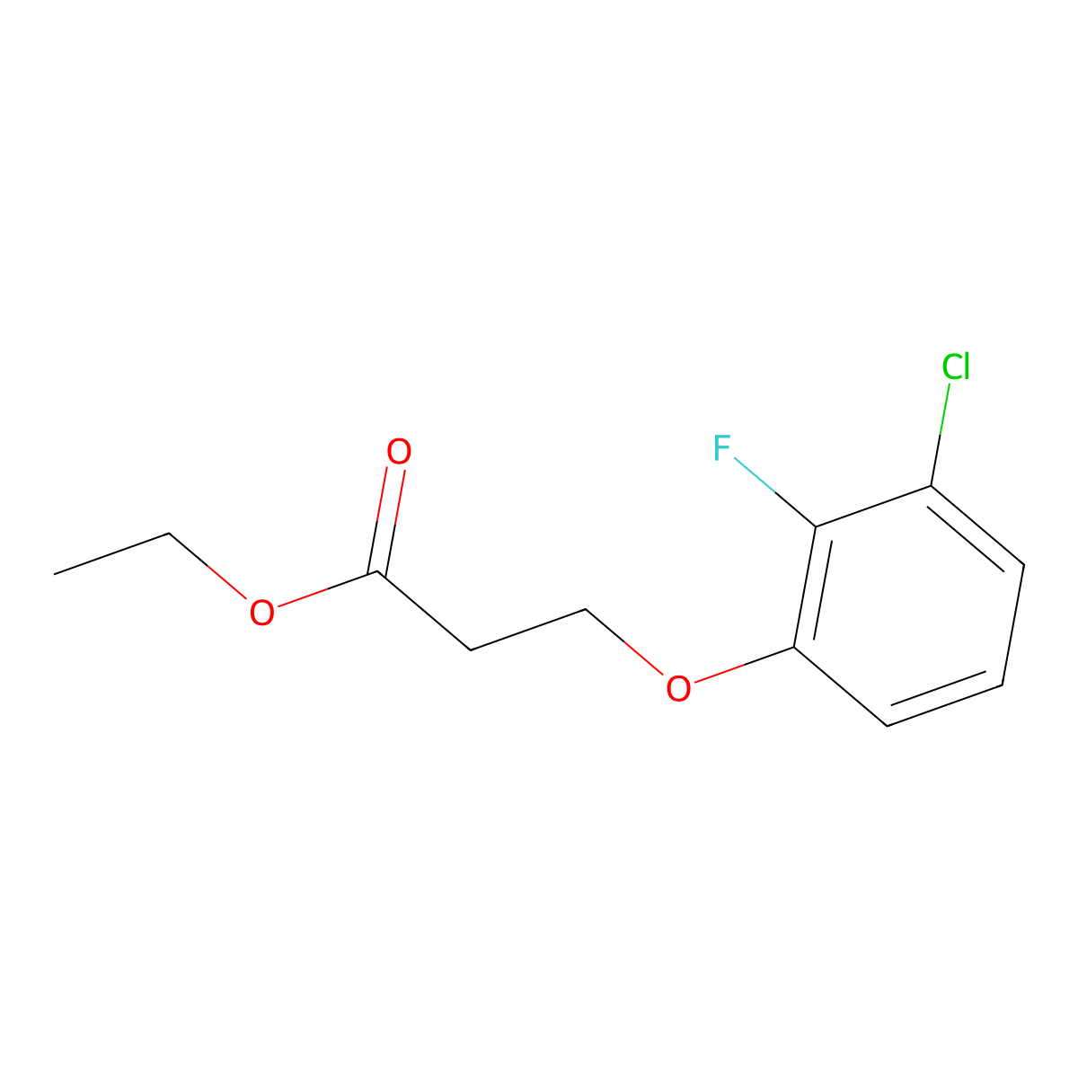 Ethyl 3-(3-chloro-2-fluoro-phenoxy)propanoate molecular structure, CAS 1443338-61-1