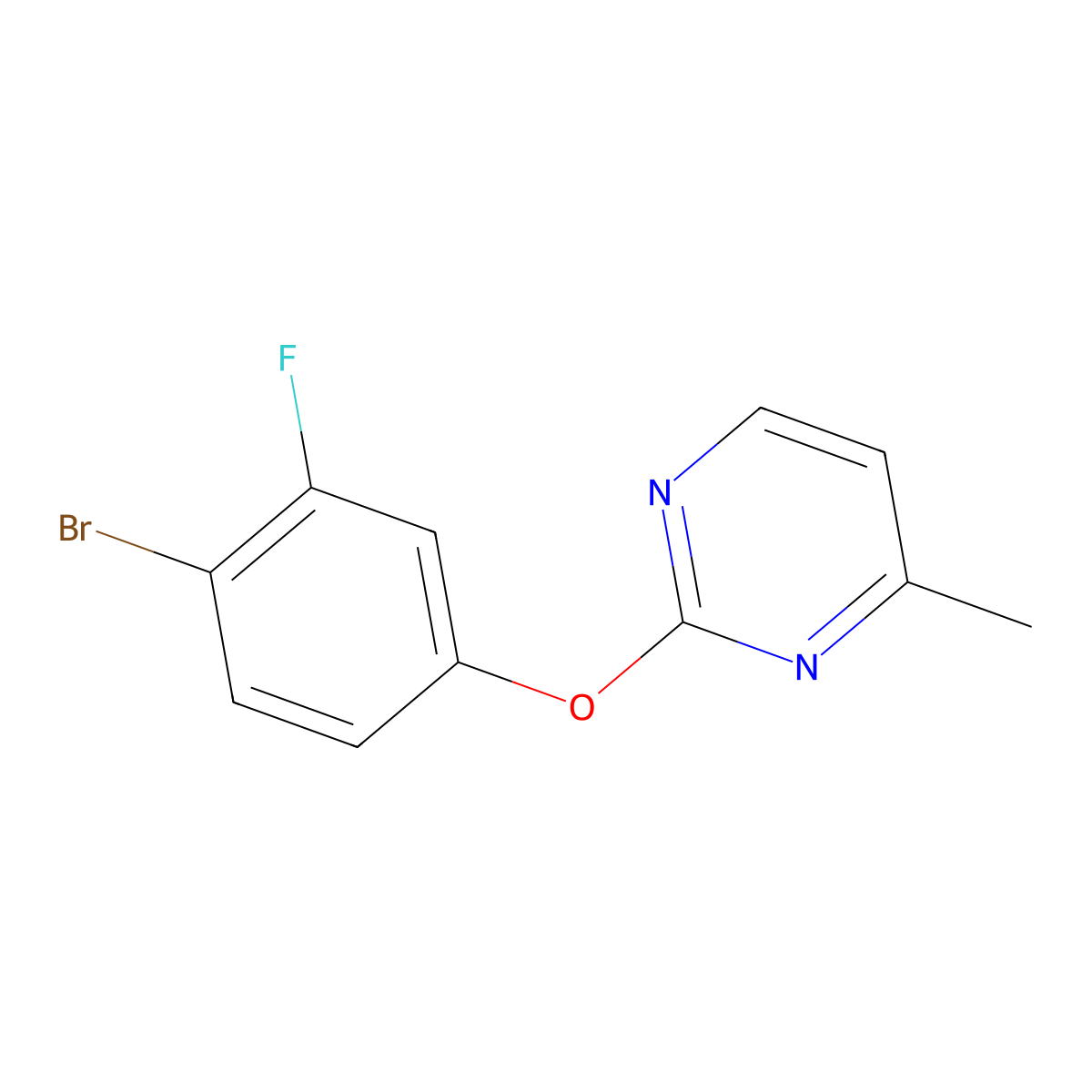 2-(4-Bromo-3-fluorophenoxy)-4-methylpyrimidine molecular structure, CAS 1443981-51-8