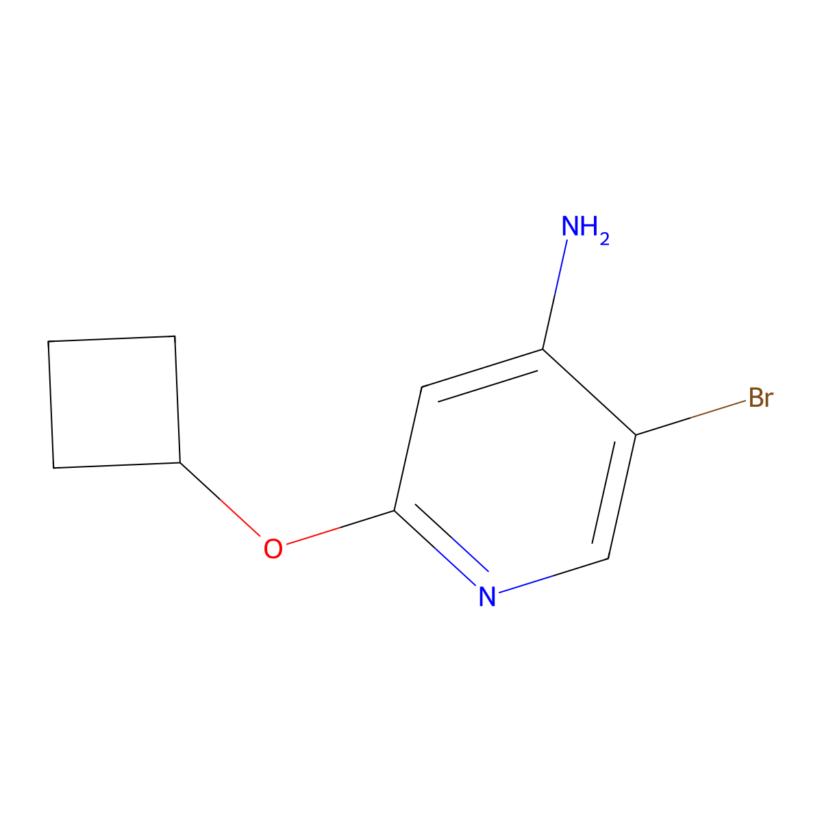 5-Bromo-2-cyclobutoxypyridin-4-amine molecular structure, CAS 1446406-92-3