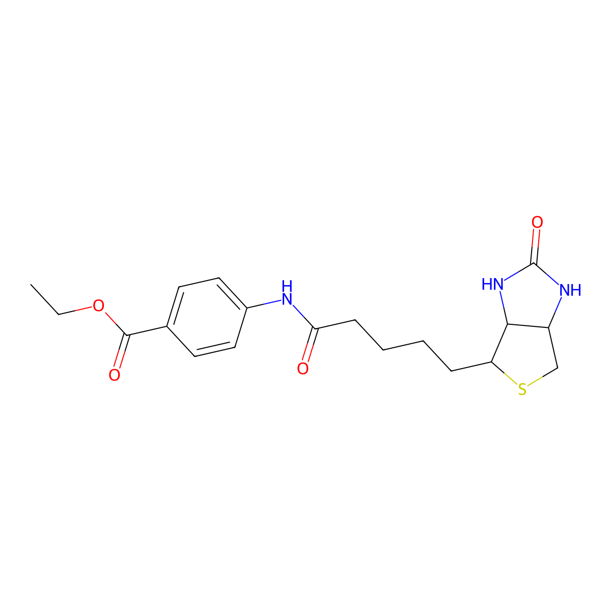 ethyl 4-{5-[(3aS,4S,6aR)-2-oxo-hexahydro-1H-thieno[3,4-d]imidazol-4-yl]pentanamido}benzoate molecular structure, CAS 1448017-21-7