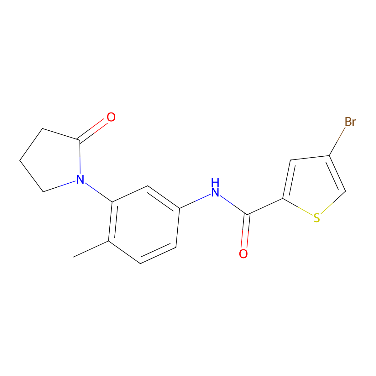 4-Bromo-N-[4-methyl-3-(2-oxopyrrolidin-1-YL)phenyl]thiophene-2-carboxamide molecular structure, CAS 1448047-79-7