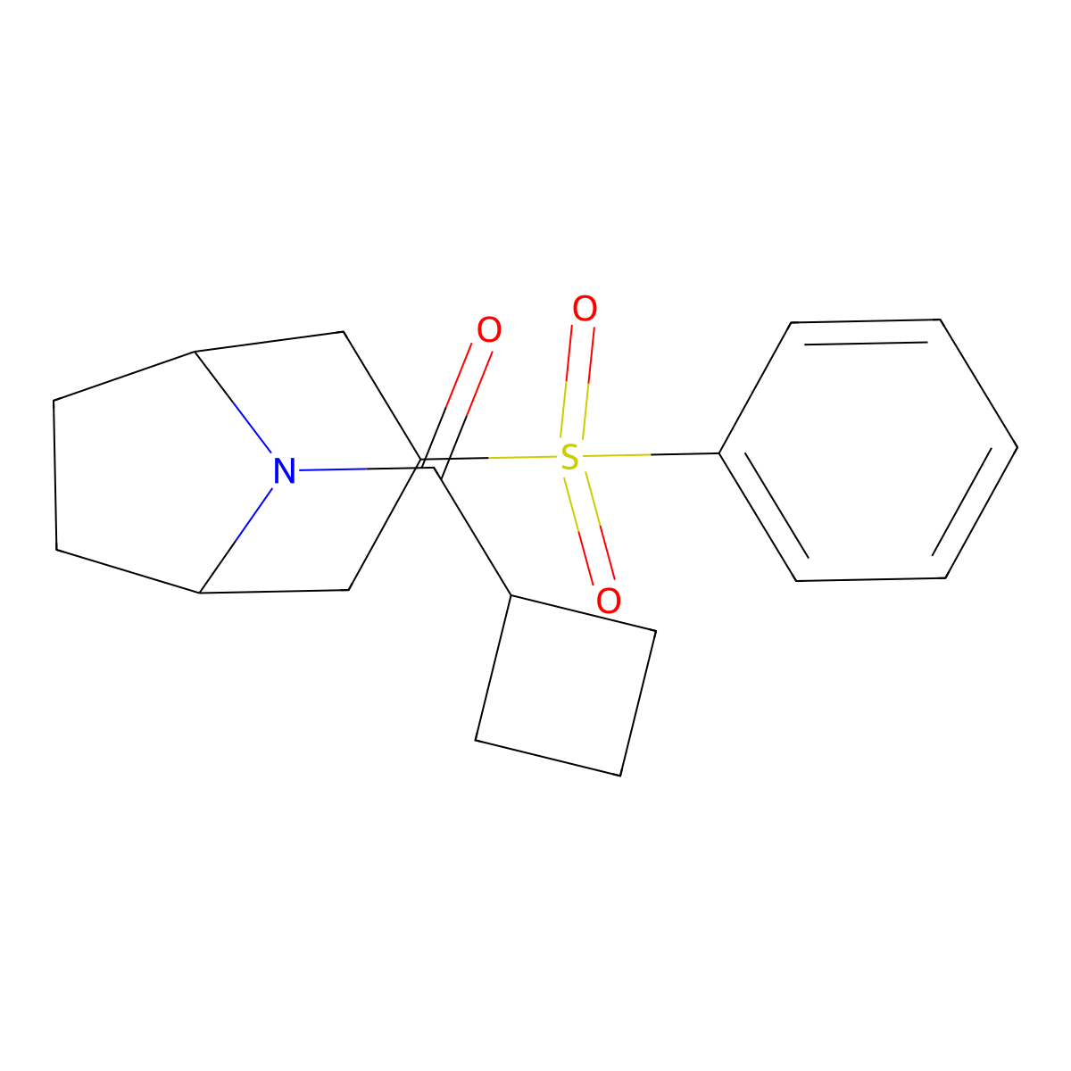 cyclobutyl((1R,5S)-3-(phenylsulfonyl)-8-azabicyclo[3.2.1]octan-8-yl)methanone molecular structure, CAS 1448053-89-1