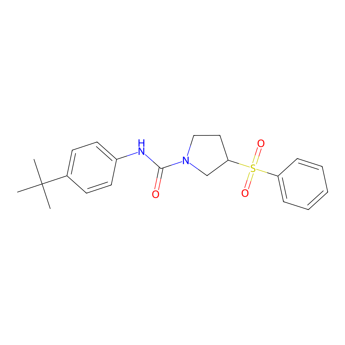 N-(4-(tert-butyl)phenyl)-3-(phenylsulfonyl)pyrrolidine-1-carboxamide molecular structure, CAS 1448130-84-4