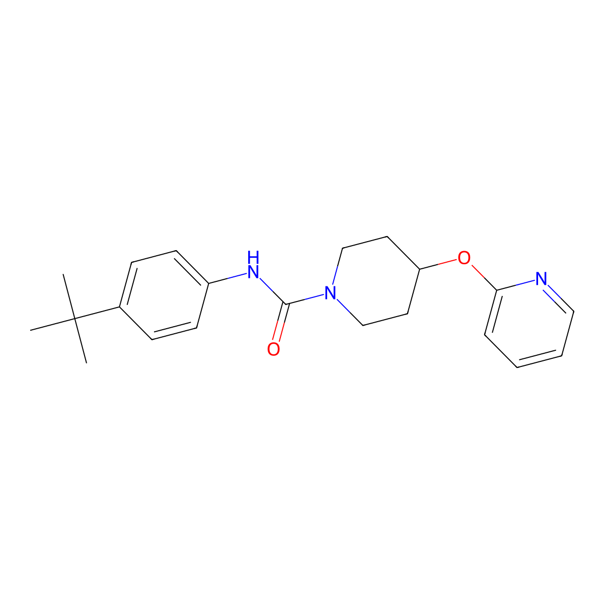 N-(4-(tert-butyl)phenyl)-4-(pyridin-2-yloxy)piperidine-1-carboxamide molecular structure, CAS 1448133-19-4
