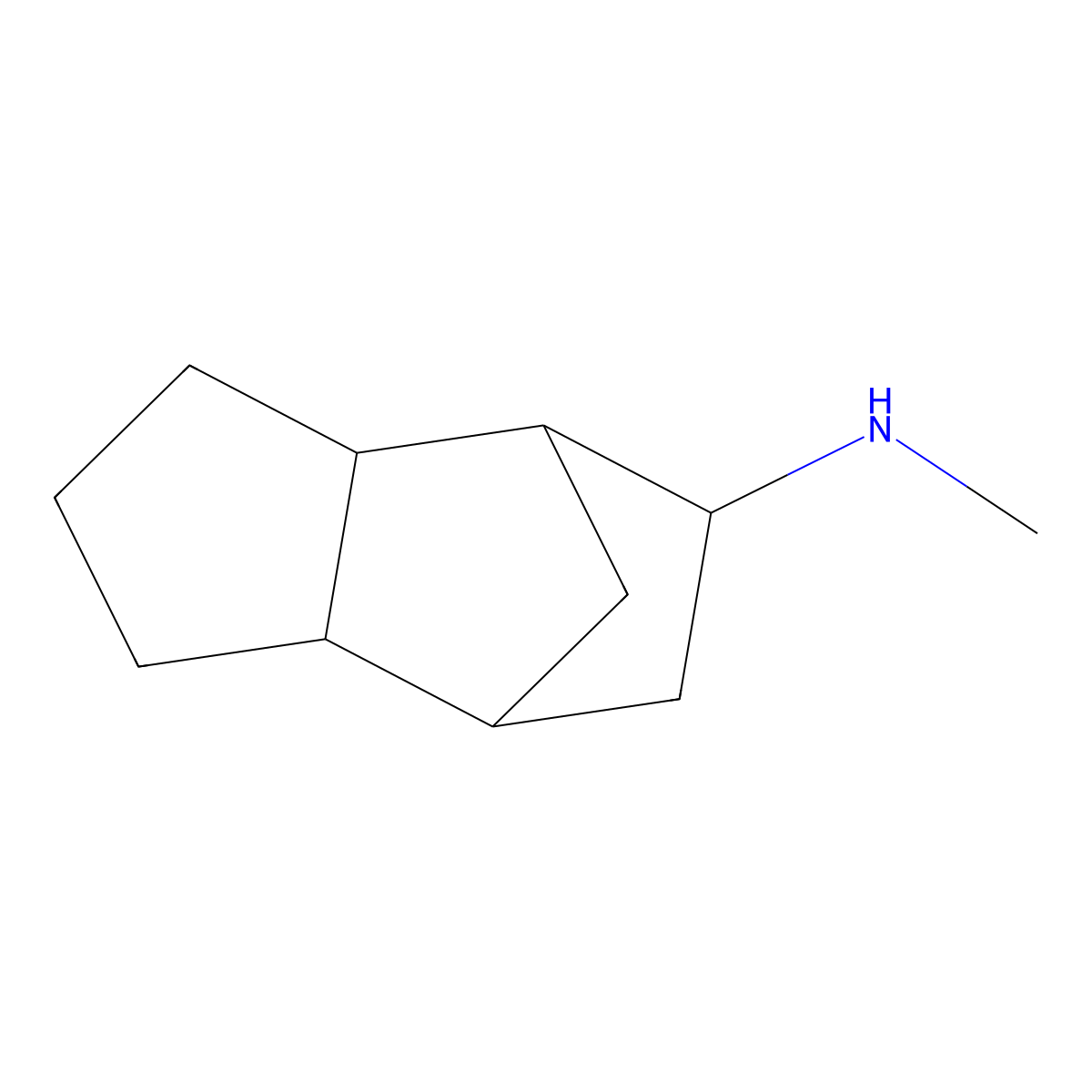 N-methyltricyclo[5.2.1.0,2,6]decan-8-amine molecular structure, CAS 14523-70-7