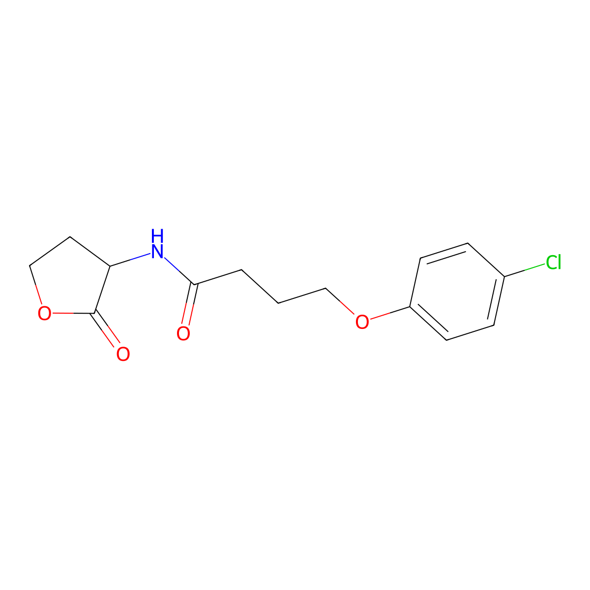 4-(4-Chlorophenoxy)-N-[(3s)-2-Oxotetrahydrofuran-3-Yl]butanamide molecular structure, CAS 1453857-28-7