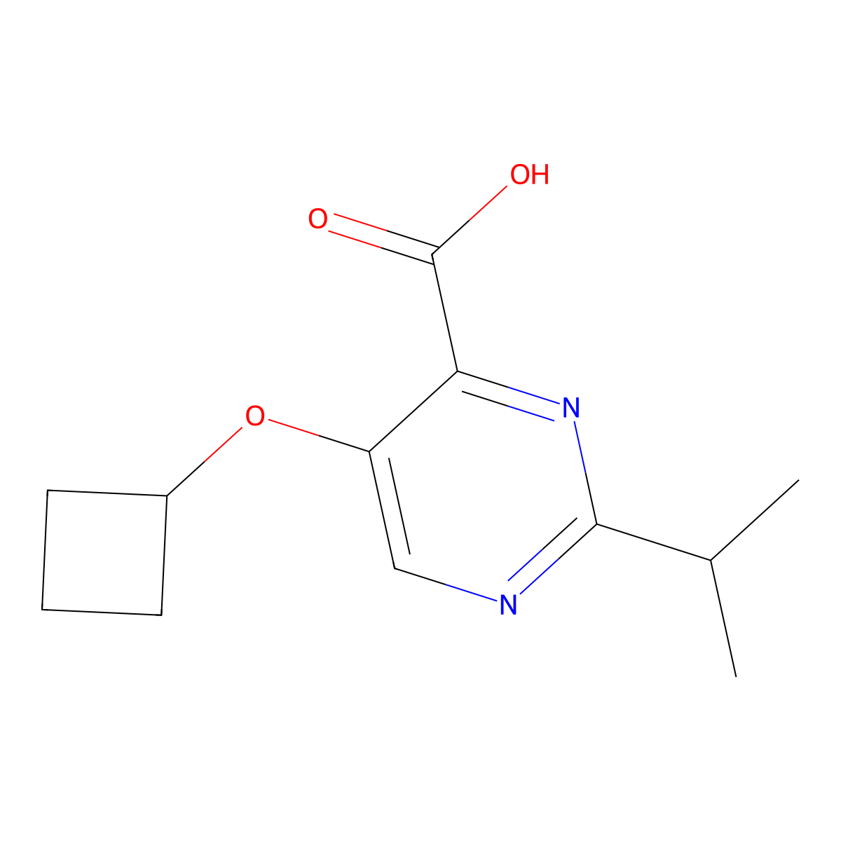 5-Cyclobutoxy-2-(propan-2-yl)pyrimidine-4-carboxylic acid molecular structure, CAS 1457497-47-0