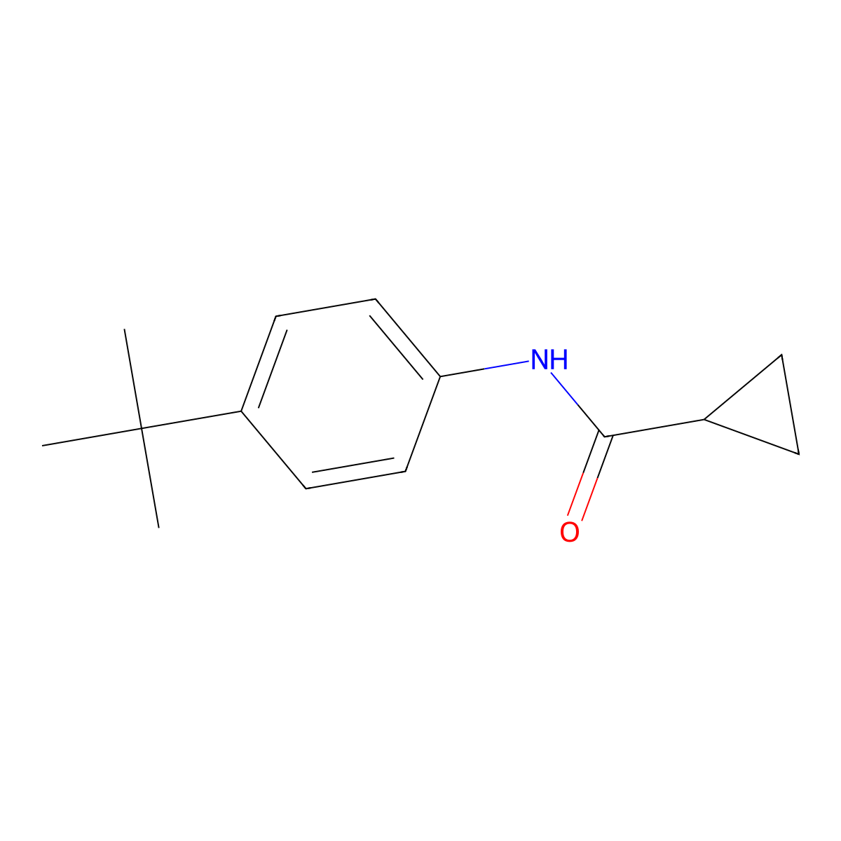 N-(4-tert-butylphenyl)cyclopropanecarboxamide molecular structure, CAS 1457807-96-3